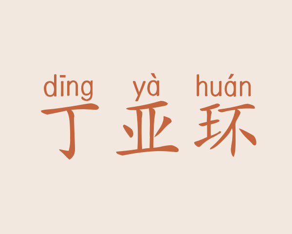 丁亚环