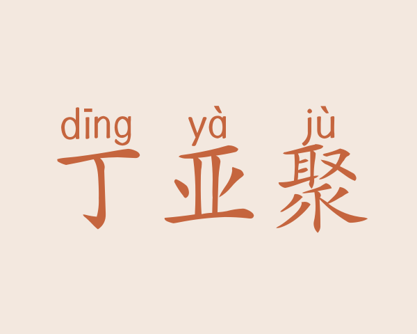 丁亚聚