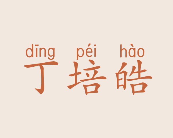 丁培皓