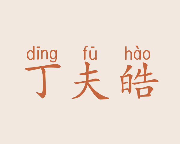 丁夫皓