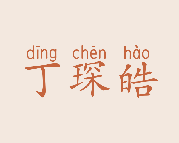 丁琛皓