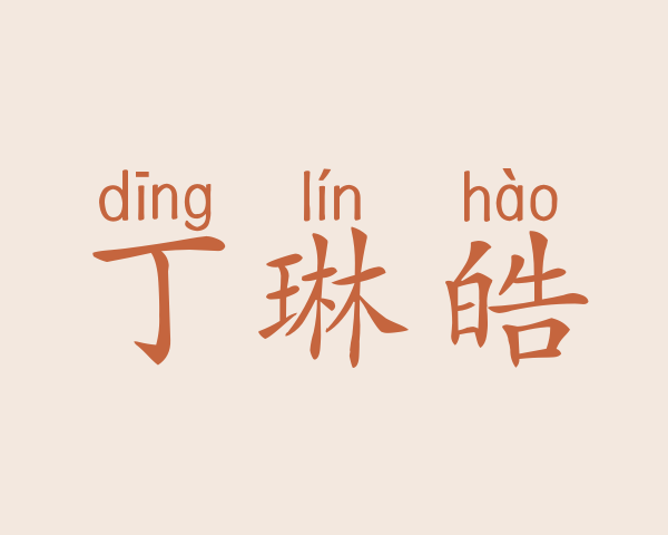 丁琳皓