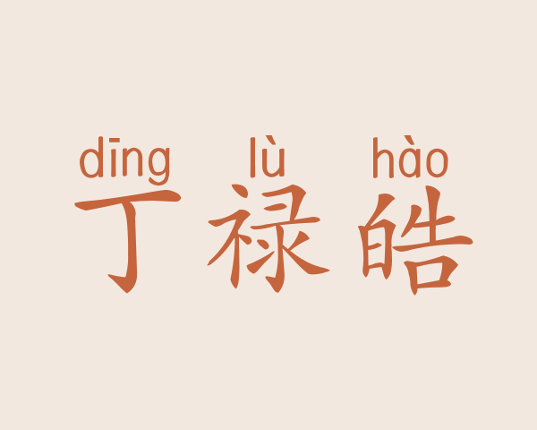 丁禄皓