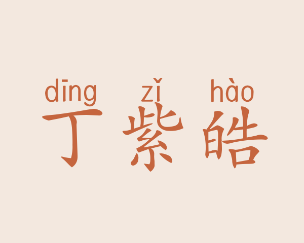 丁紫皓