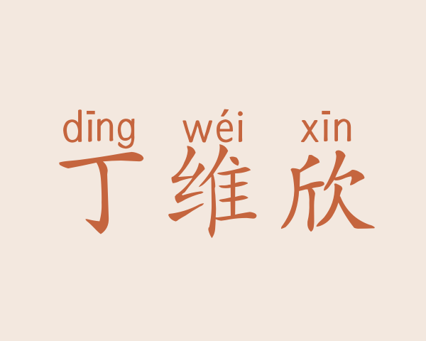 丁维欣