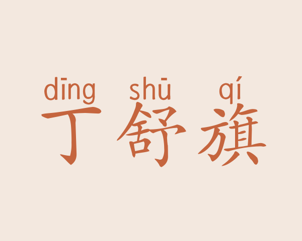 丁舒旗