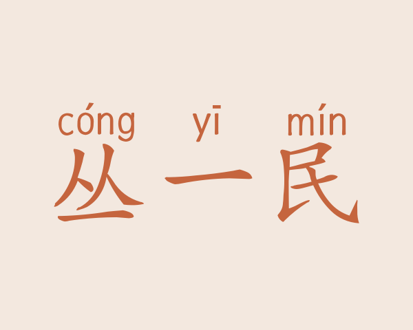 丛一民