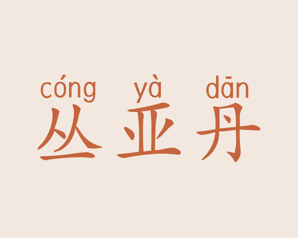 丛亚丹