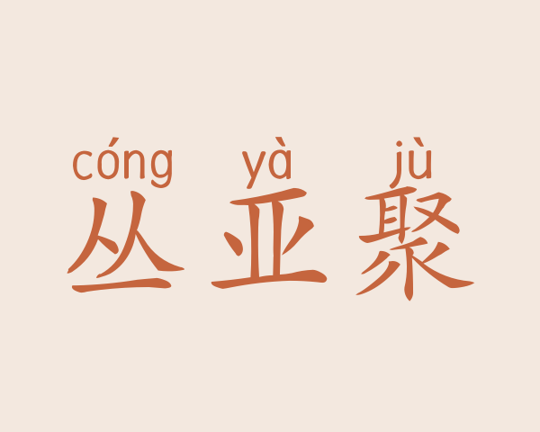 丛亚聚