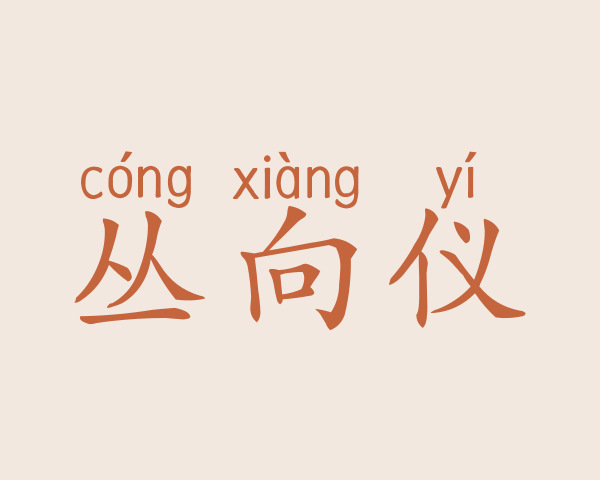 丛向仪