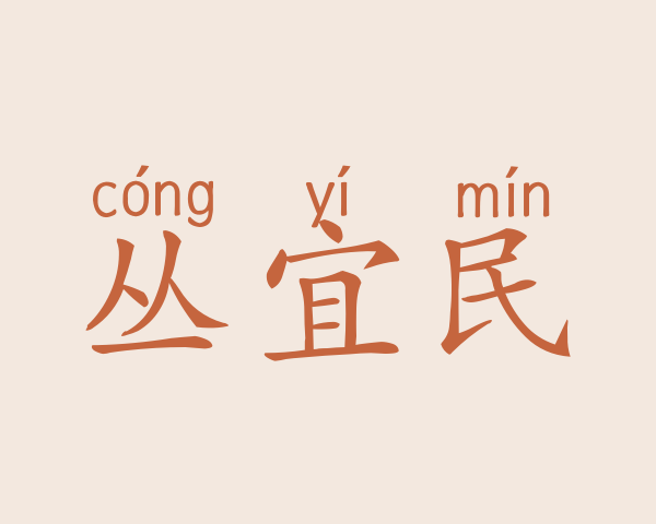 丛宜民