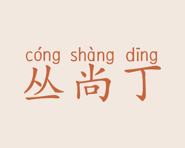 丛尚丁