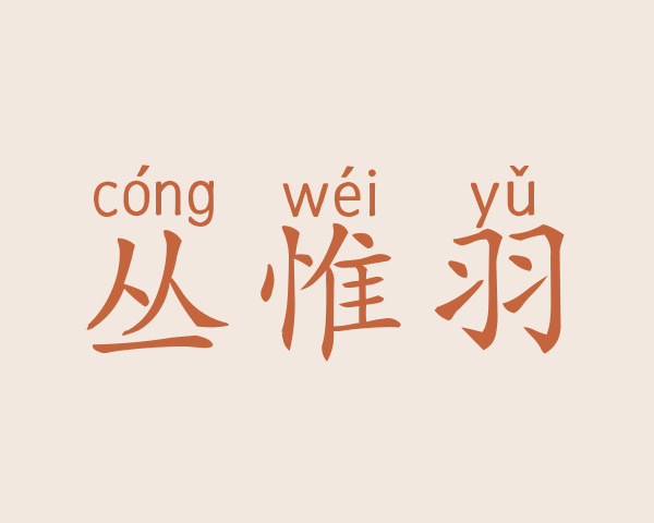 丛惟羽