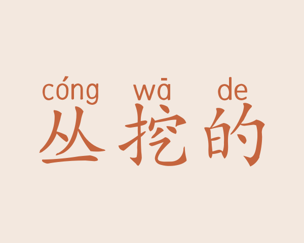 丛挖的