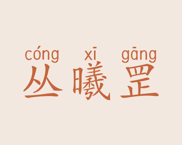 丛曦罡