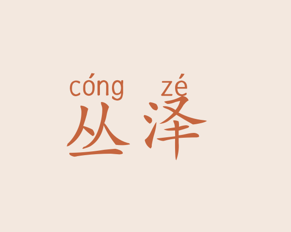 丛泽