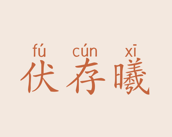 伏存曦