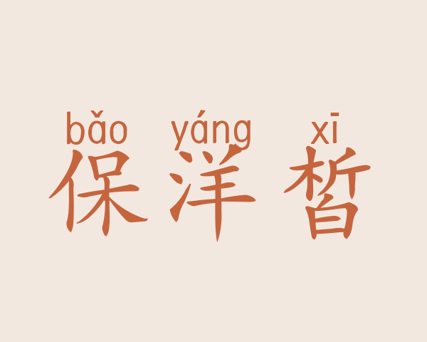 保洋皙