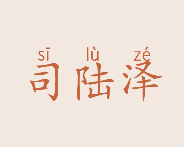 司陆泽