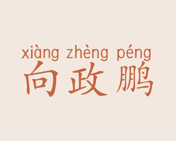 向政鹏