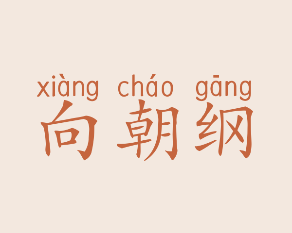 向朝纲