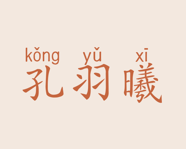 孔羽曦