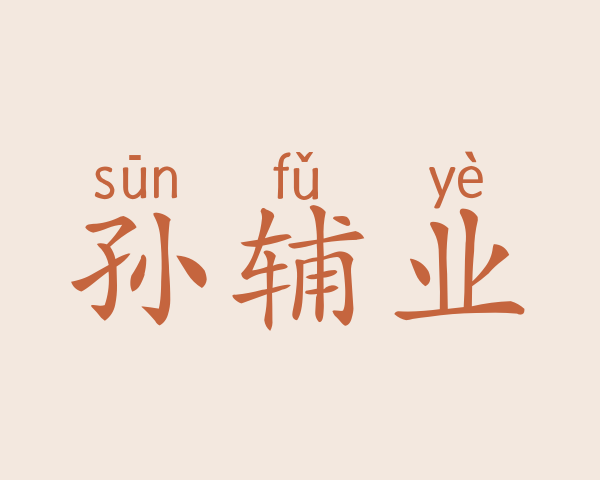 孙辅业