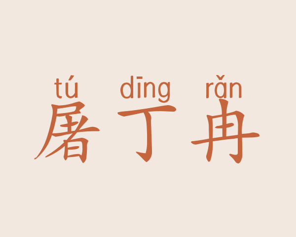 屠丁冉