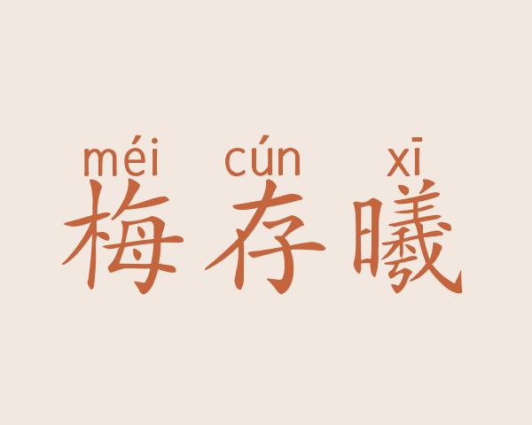 梅存曦