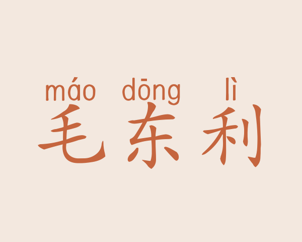 毛东利