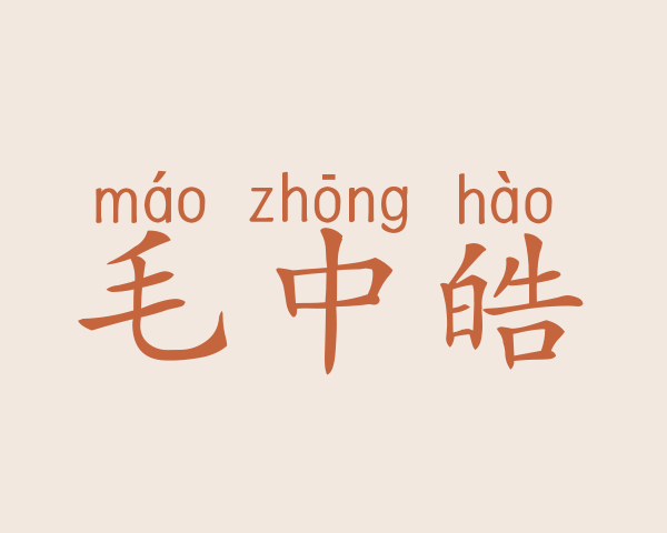 毛中皓