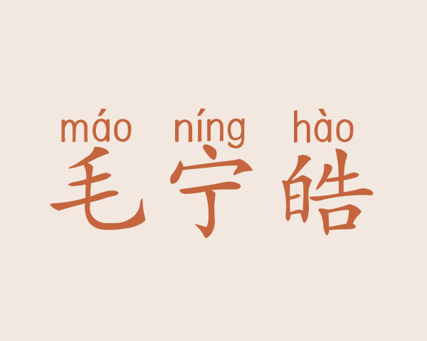 毛宁皓