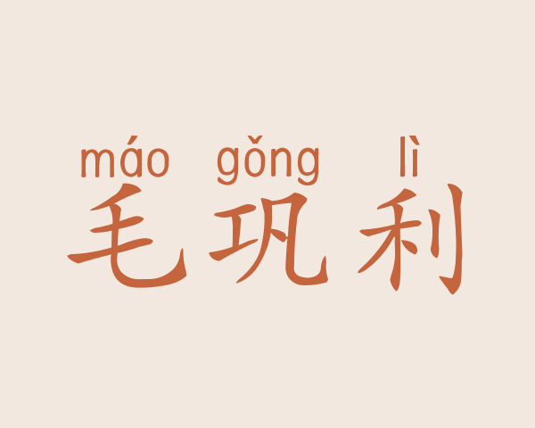 毛巩利