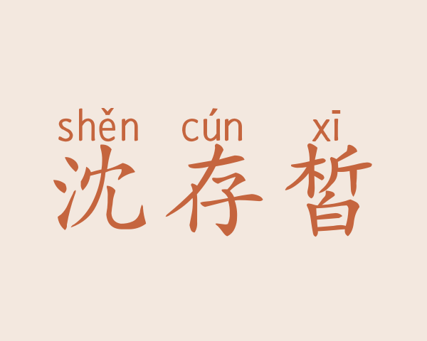 沈存皙