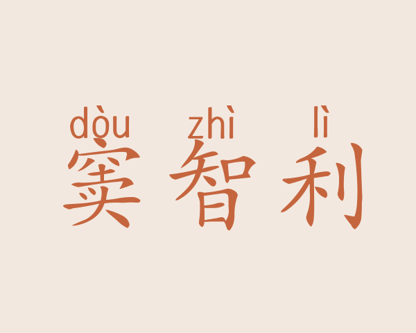 窦智利