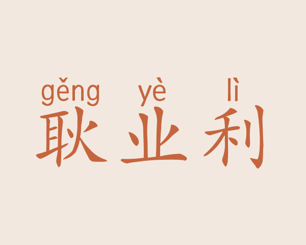 耿业利