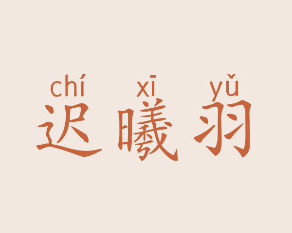 迟曦羽