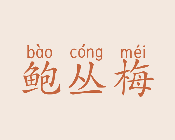 鲍丛梅